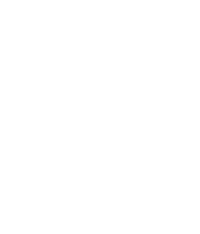 Логотип в нижнем колонтитуле Digi Wedding