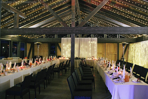 Vasaras svinību māja